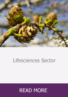 Sektor Lifesciences : WIĘCEJ