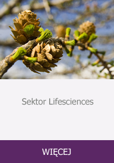 Sektor Lifesciences : WIĘCEJ