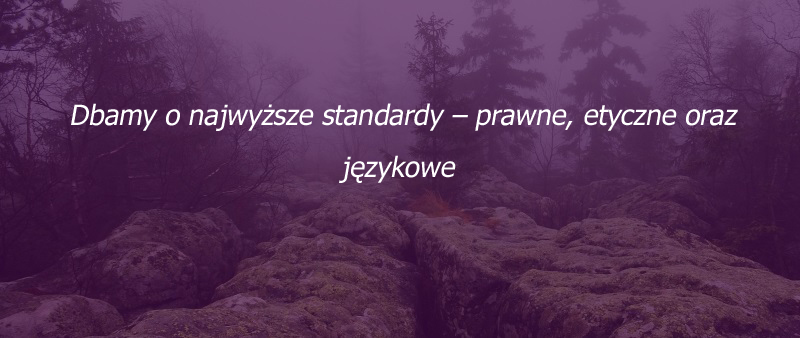 Obraz na spodzie strony publikacje