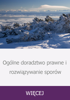 Ogólne doradztwo prawne i rozwiązywanie sporów : WIĘCEJ