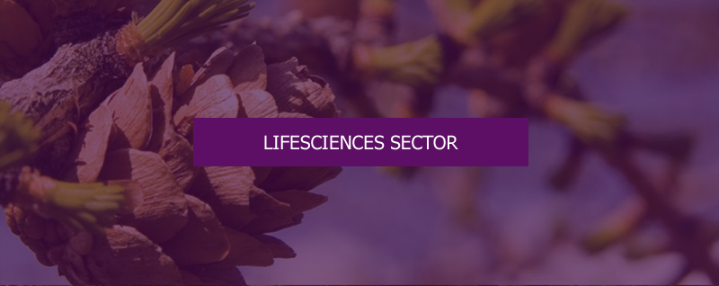 Sektor Lifesciences
